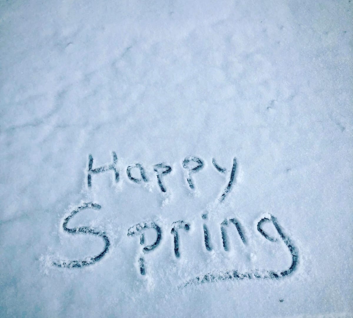 Springing forward with NDNC