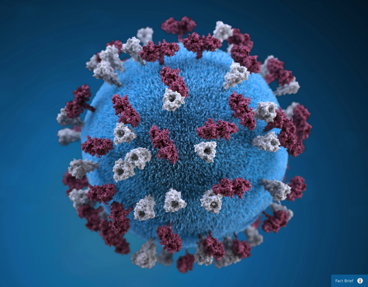 Can contracting measles compromise your immunity to other diseases?