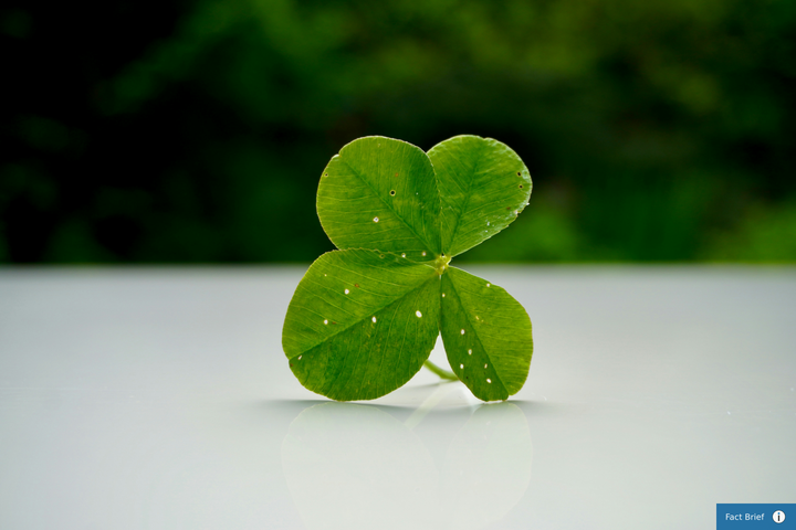 Is there really no such thing as a four-leaf clover?