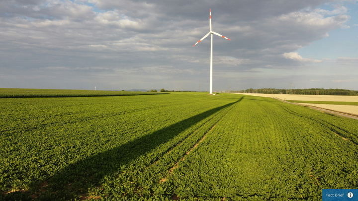 Can shadow flicker from wind turbines trigger seizures in people with epilepsy?